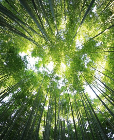 Vi skal turde stille krav til os selv og vores egen virksomhed