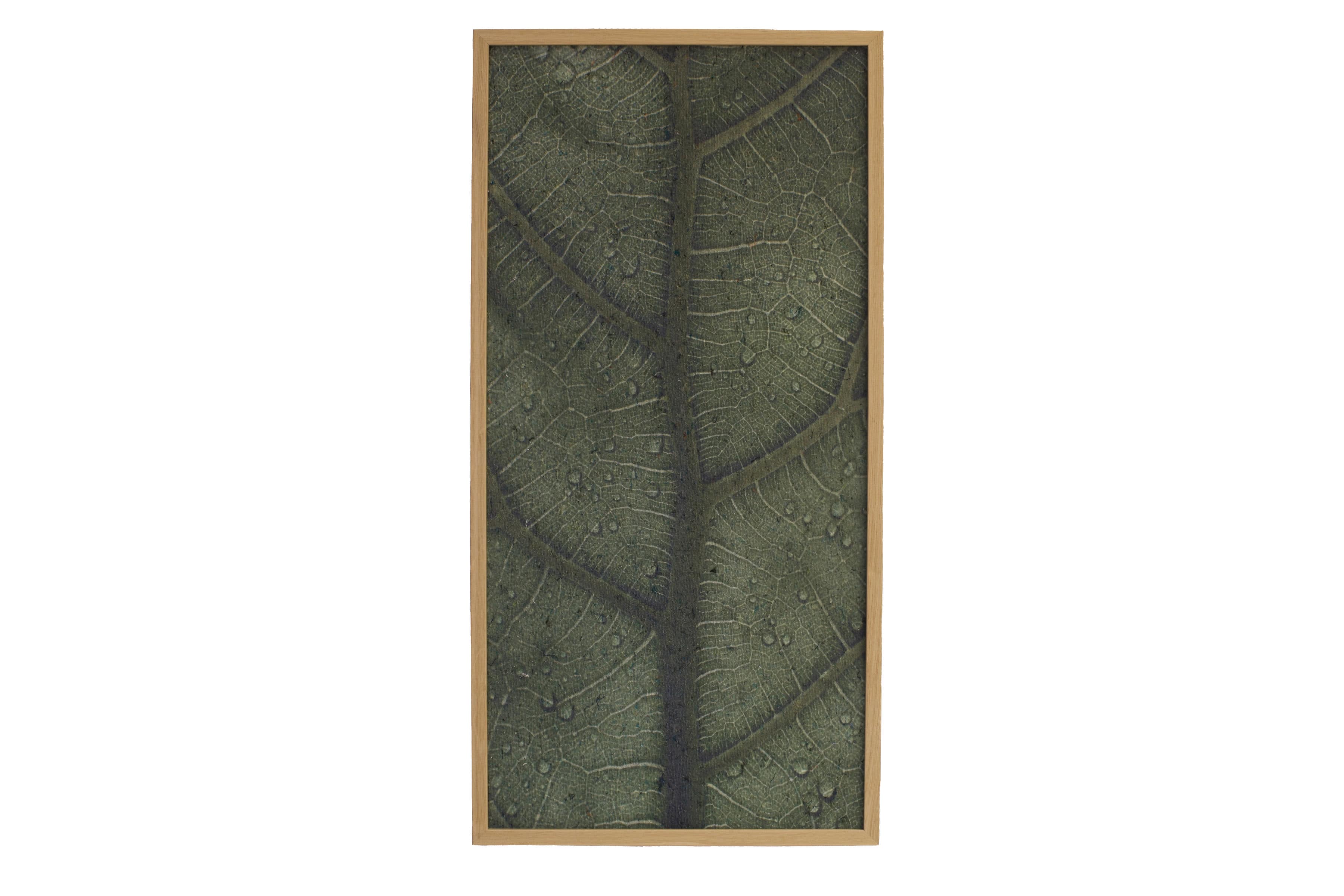 Akustikpanel med et blad på