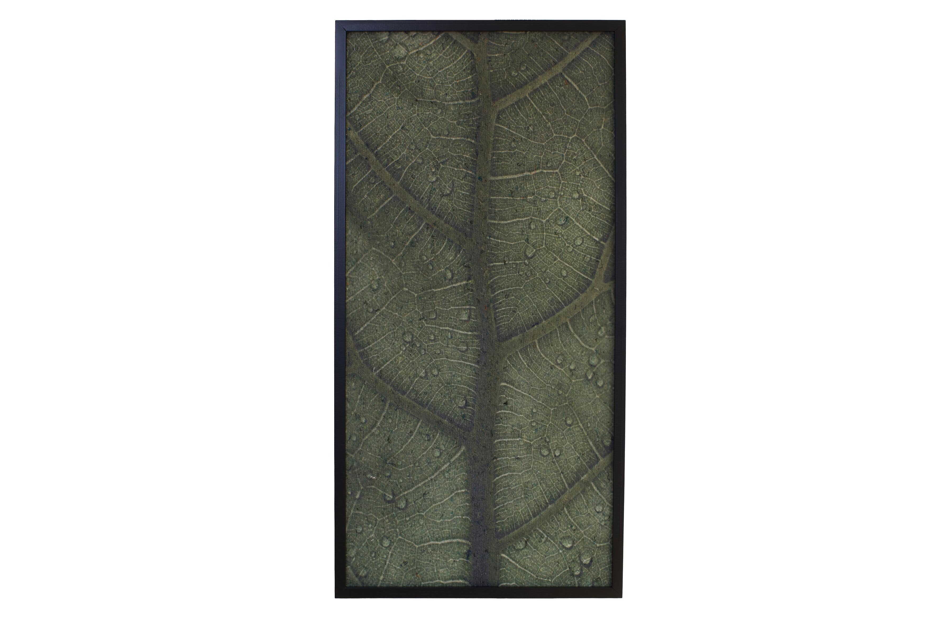 Akustikpanel med grønt blad