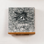 Pladeholder til vinyler