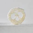 Svamp og saltbar på stranden