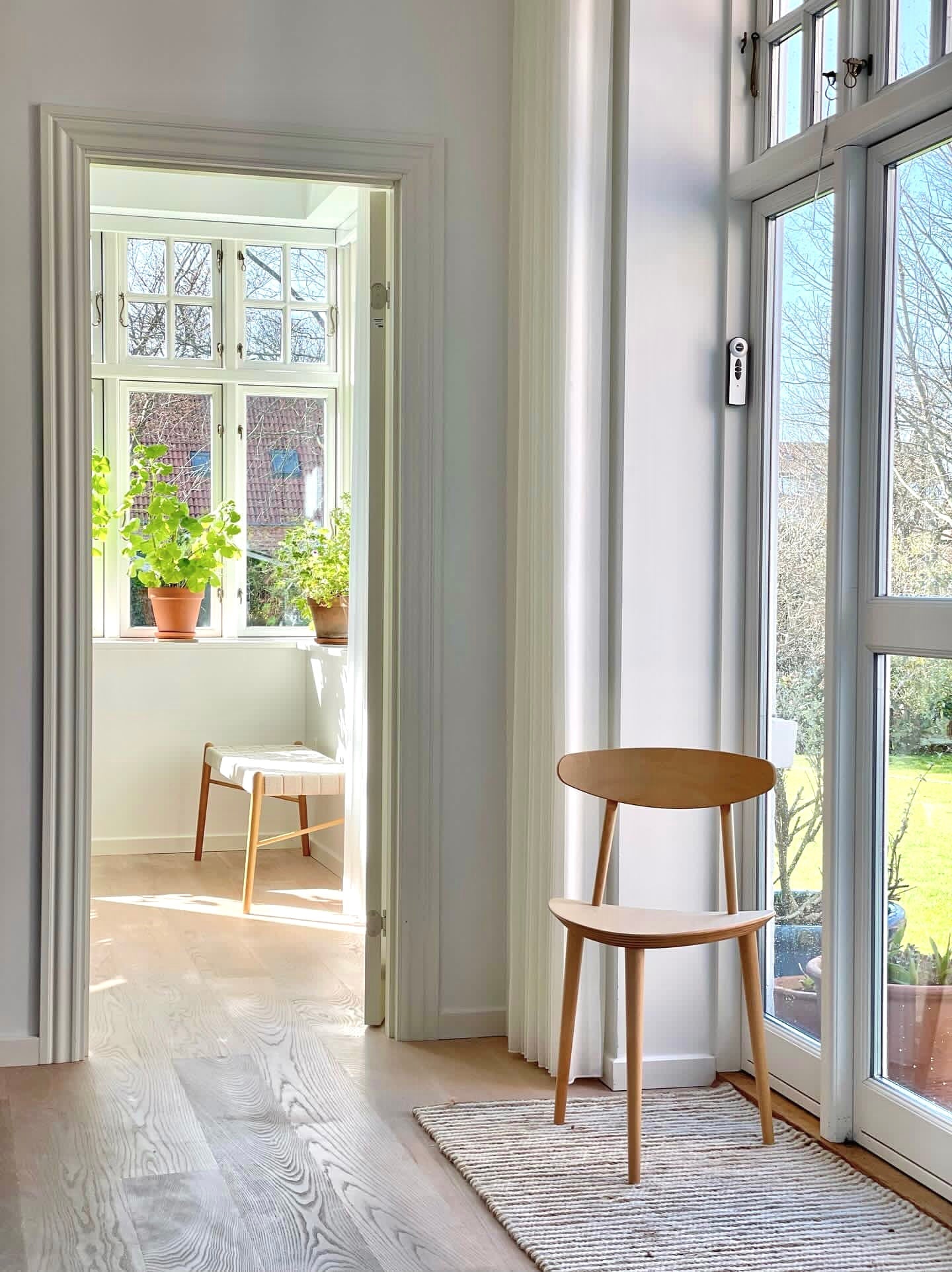 J107 stolen i bøgetræ - Noeje