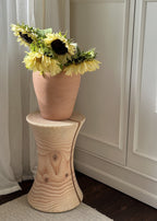 Planteopsats i douglas - Nor af Katholm