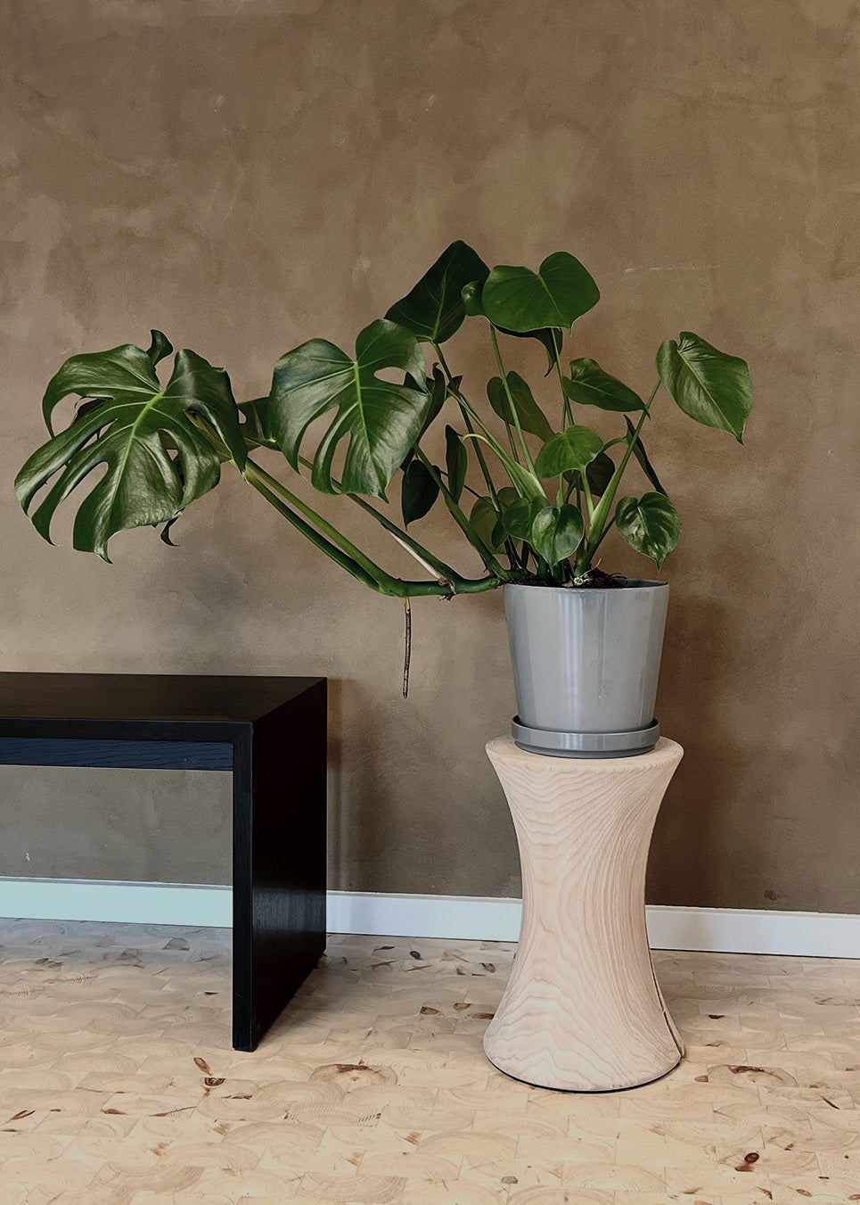 Planteopsats i rødeg fra Noeje