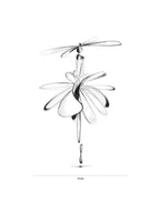 Tegning af en slags blomst i sort/hvid med en masse blade. Under tegnigen står der "Noeje". 